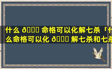 什么 🐒 命格可以化解七杀「什么命格可以化 💐 解七杀和七杀」